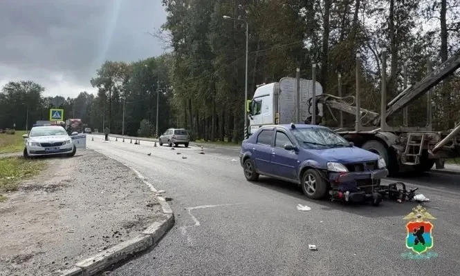 На трассе в Карелии насмерть сбили пешехода