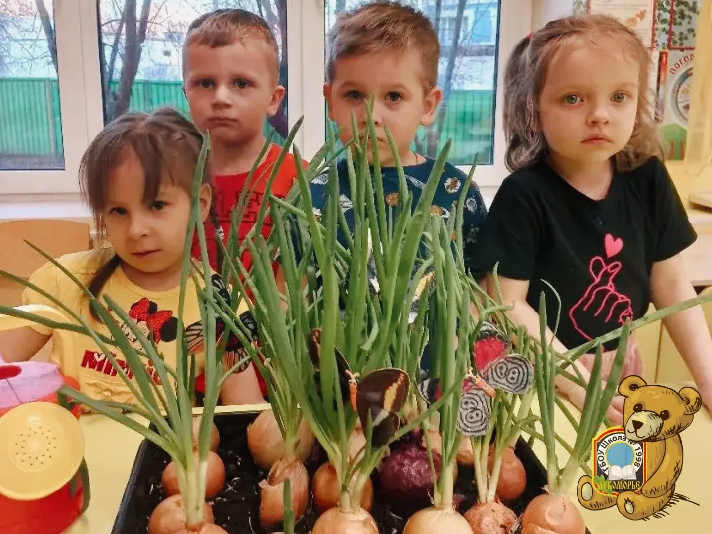 #ДайджестДошколят | Огород на подоконнике 🌱  В группе «Алые паруса» появился настоящий мини-огород п