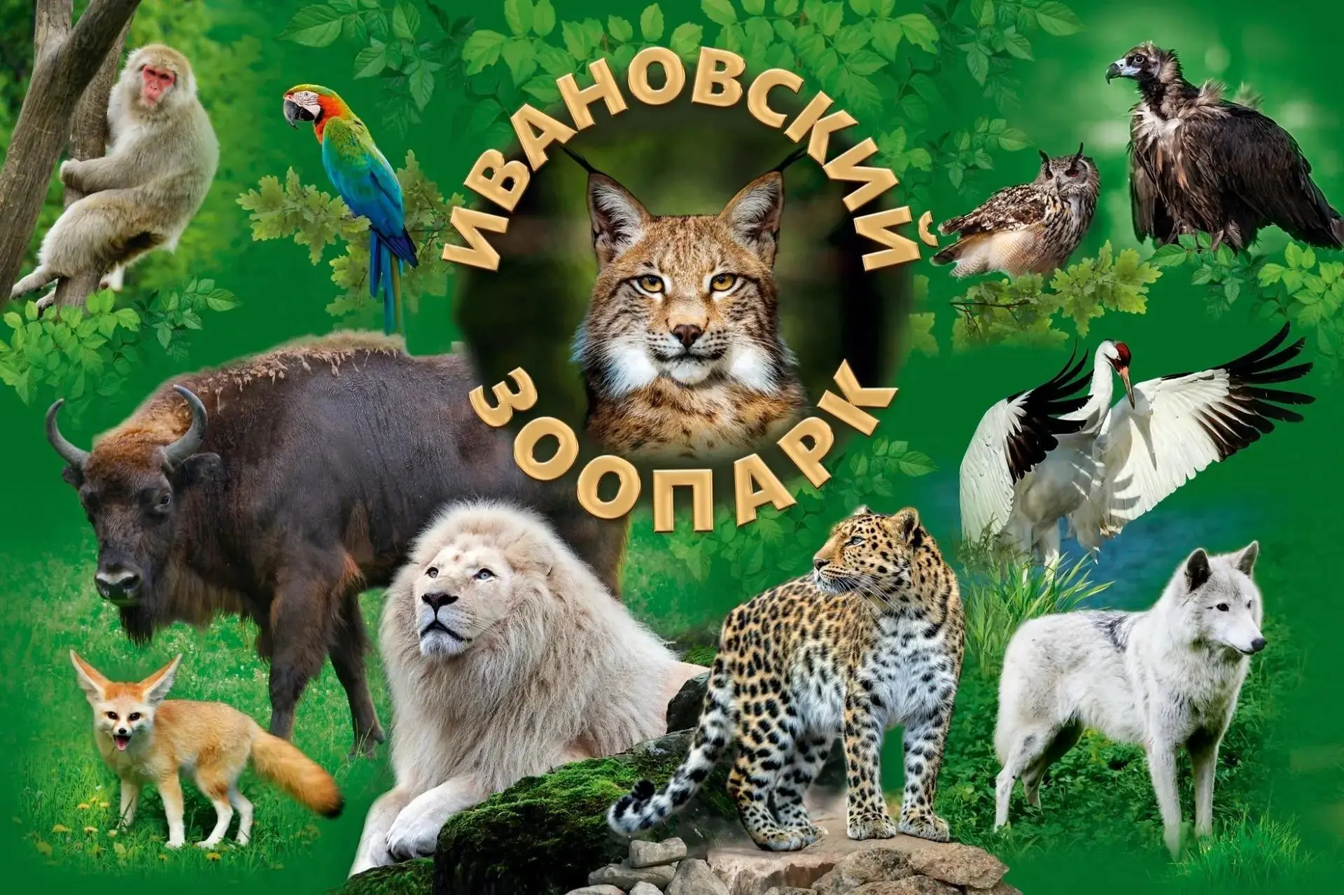 🎉 Тридцать лет как  Ивановский зоопарк открыл свои двери для посетителй! 🎉