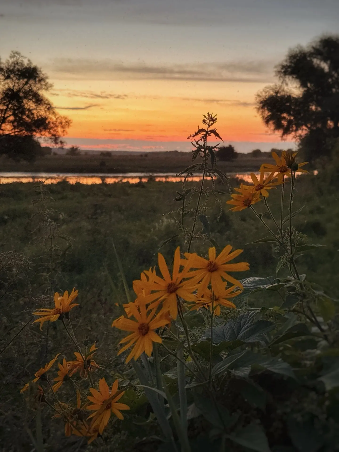 Хорошего вечера. 🌅