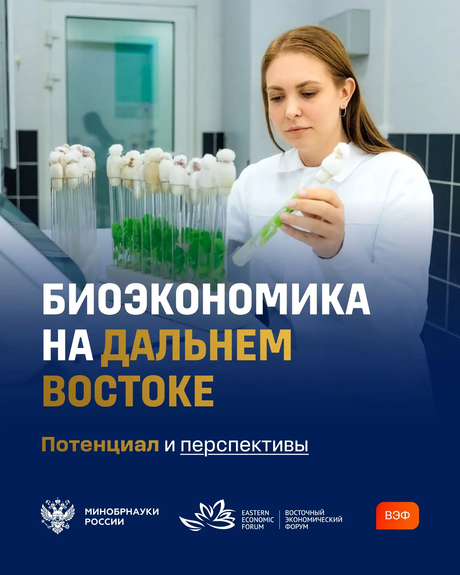 Дальний Восток обладает уникальным природным потенциалом для развития биоэкономики. Зде...