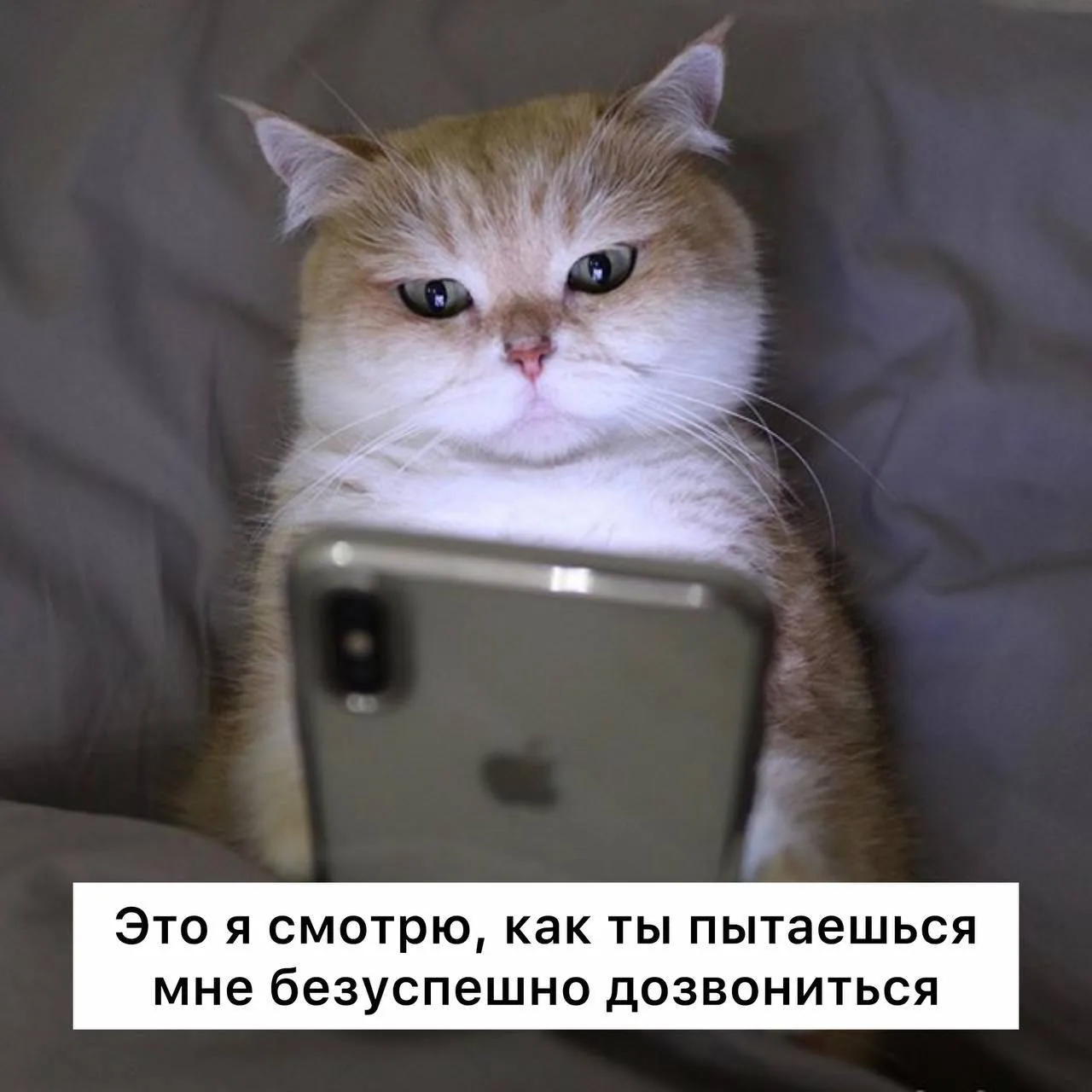 Зумеры перестали отвечать на телефонные звонки, — психологи

Молодое поколение воспринимает неожидан