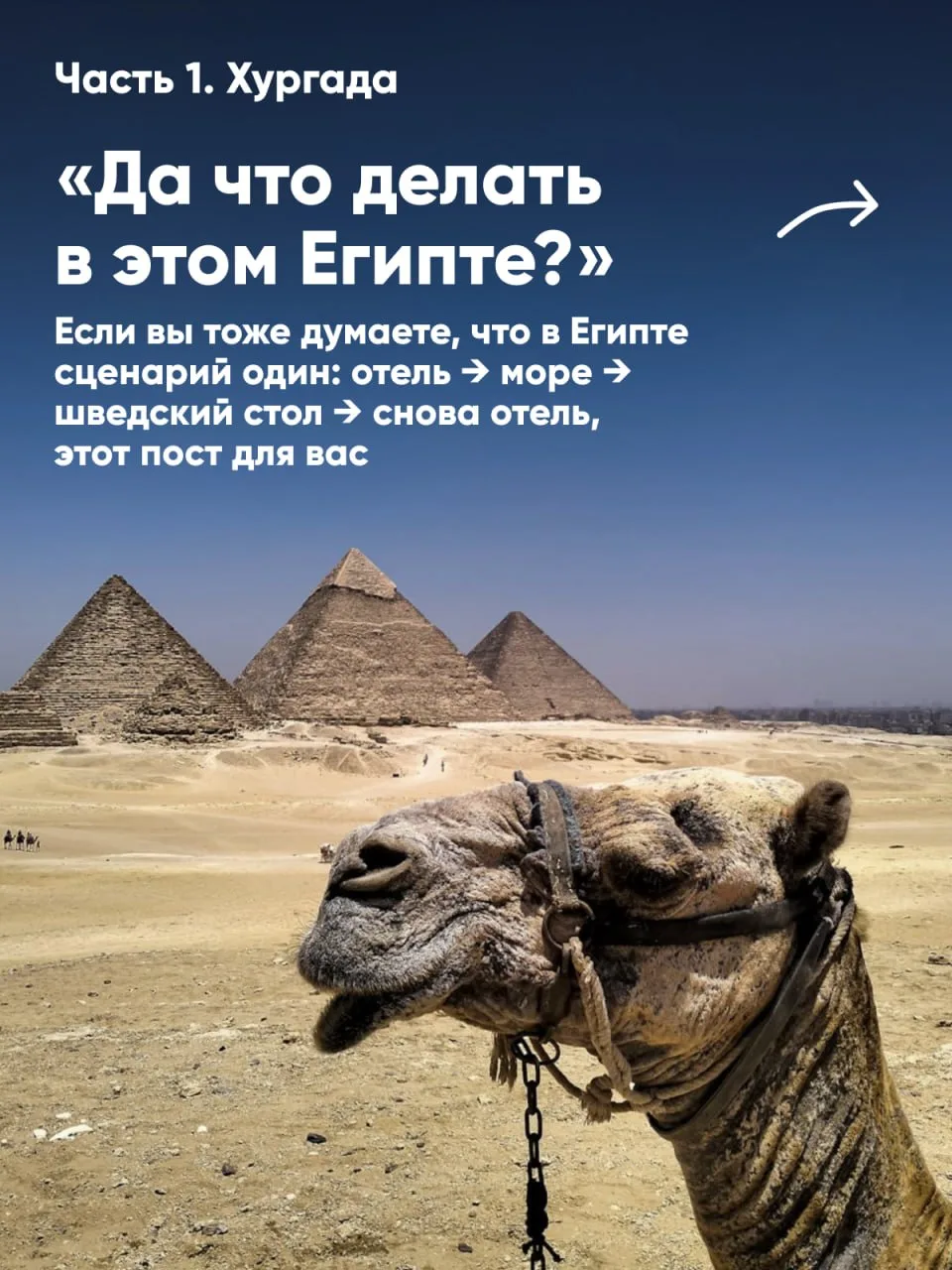 «ДА ЧТО ДЕЛАТЬ В ЭТОМ ЕГИПТЕ?» экскурсии и развлечения, которые стоит посетить в Хургаде.
