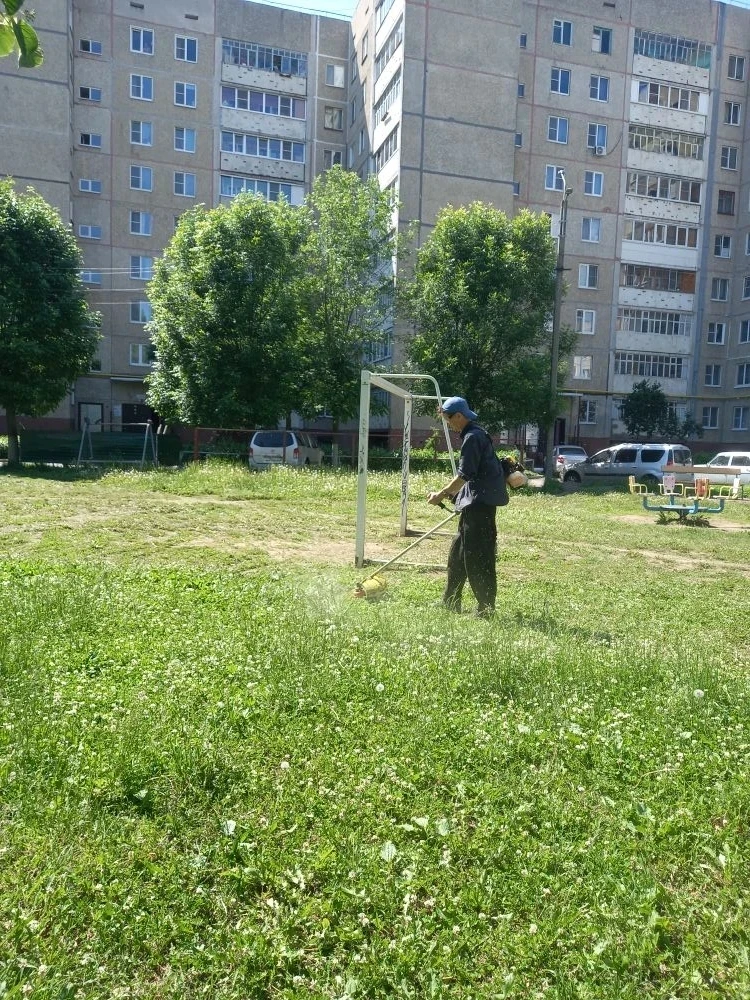 Покос травы продолжается🦾

В связи с ранней весной и большим количеством снега зимой в этом году, п