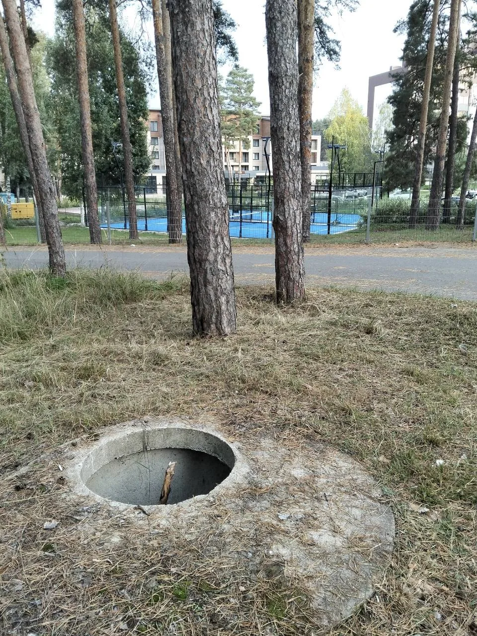 От подписчика: