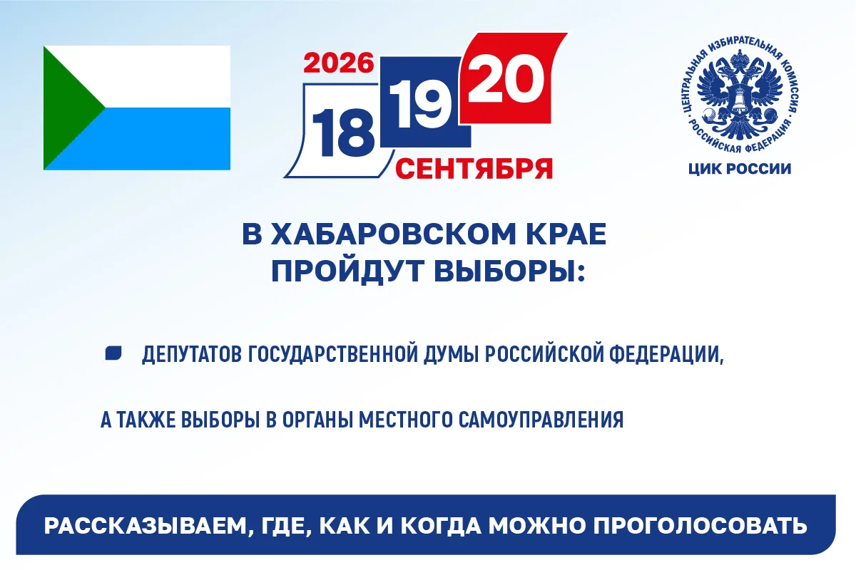 ✅ Выборы в сентябре: что нужно знать