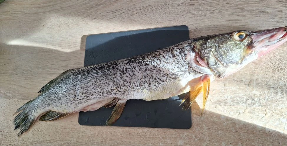 🐟 Четверг — наш традиционный рыбный день! 💛