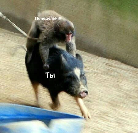 😄Желаем всем продуктивного дня!