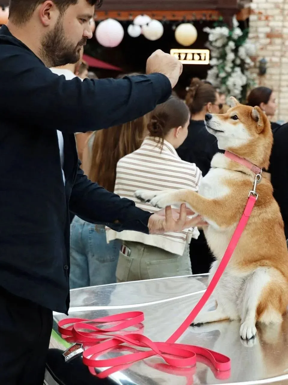 23 августа в «Культе» устроят дог-френдли вечеринку 🐶🪩
