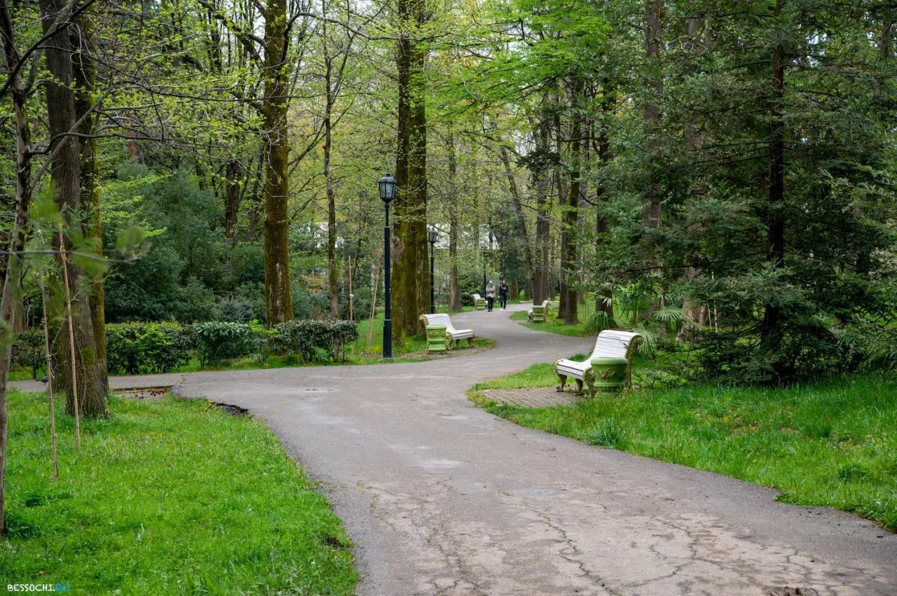 🌳 Парк культуры и отдыха «Ривьера»