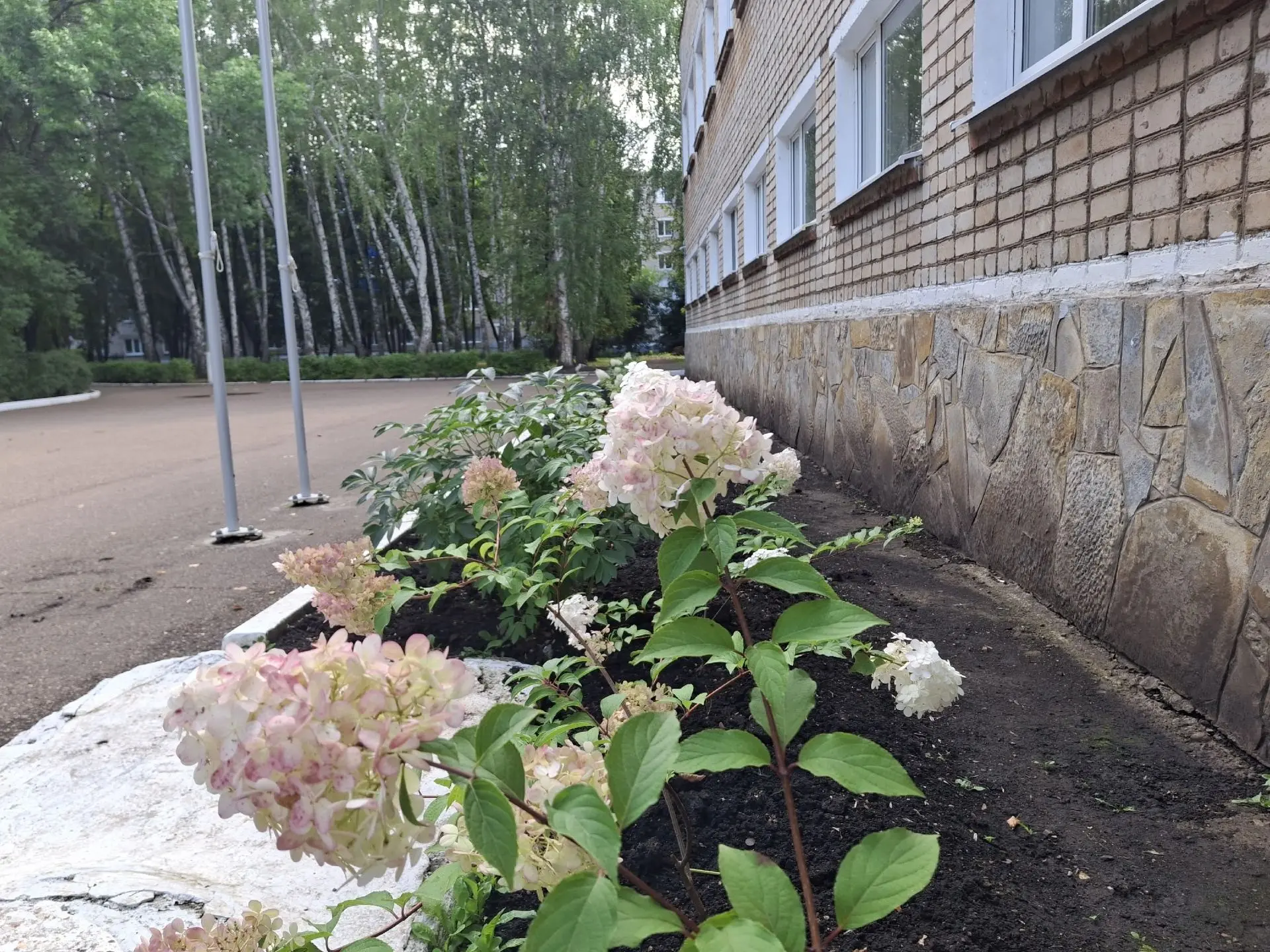 ☀️Лето — горячая пора на пришкольном участке! 
🌱Гимназисты заботятся о пришкольном участке и превра