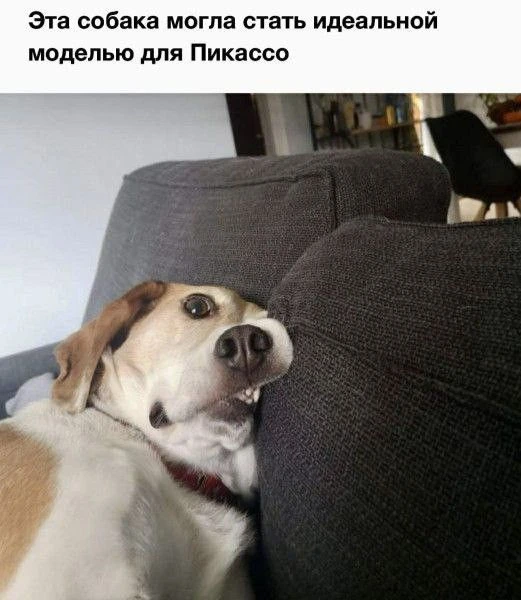 чисто я перед телевизором под кондиционером в адскую жару)