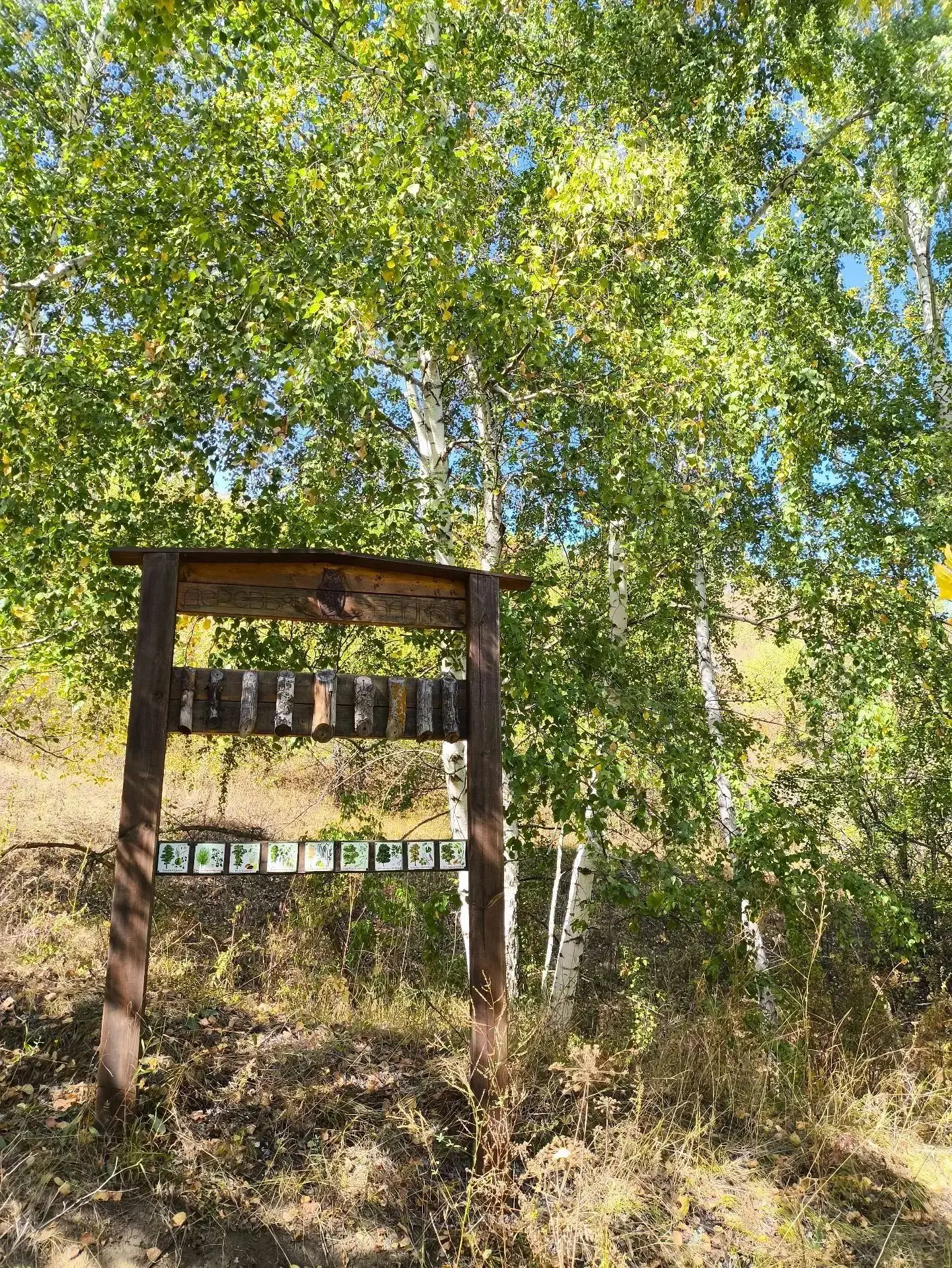 🌳 В природном парке «Щербаковский» прошла очередная бесплатная экскурсия