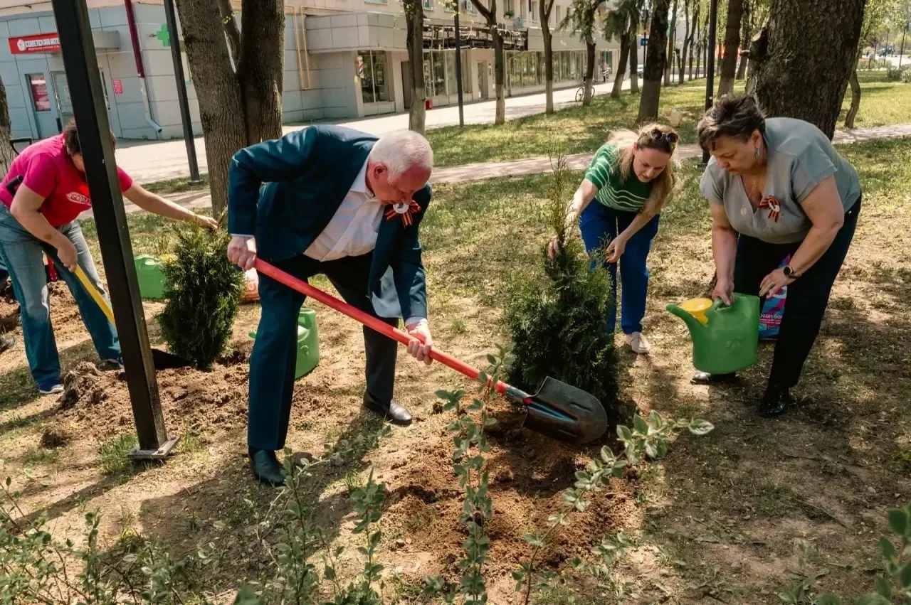 В преддверии Дня Победы при поддержке Единой России на аллее 30-летия Победы прошла высадка деревьев
