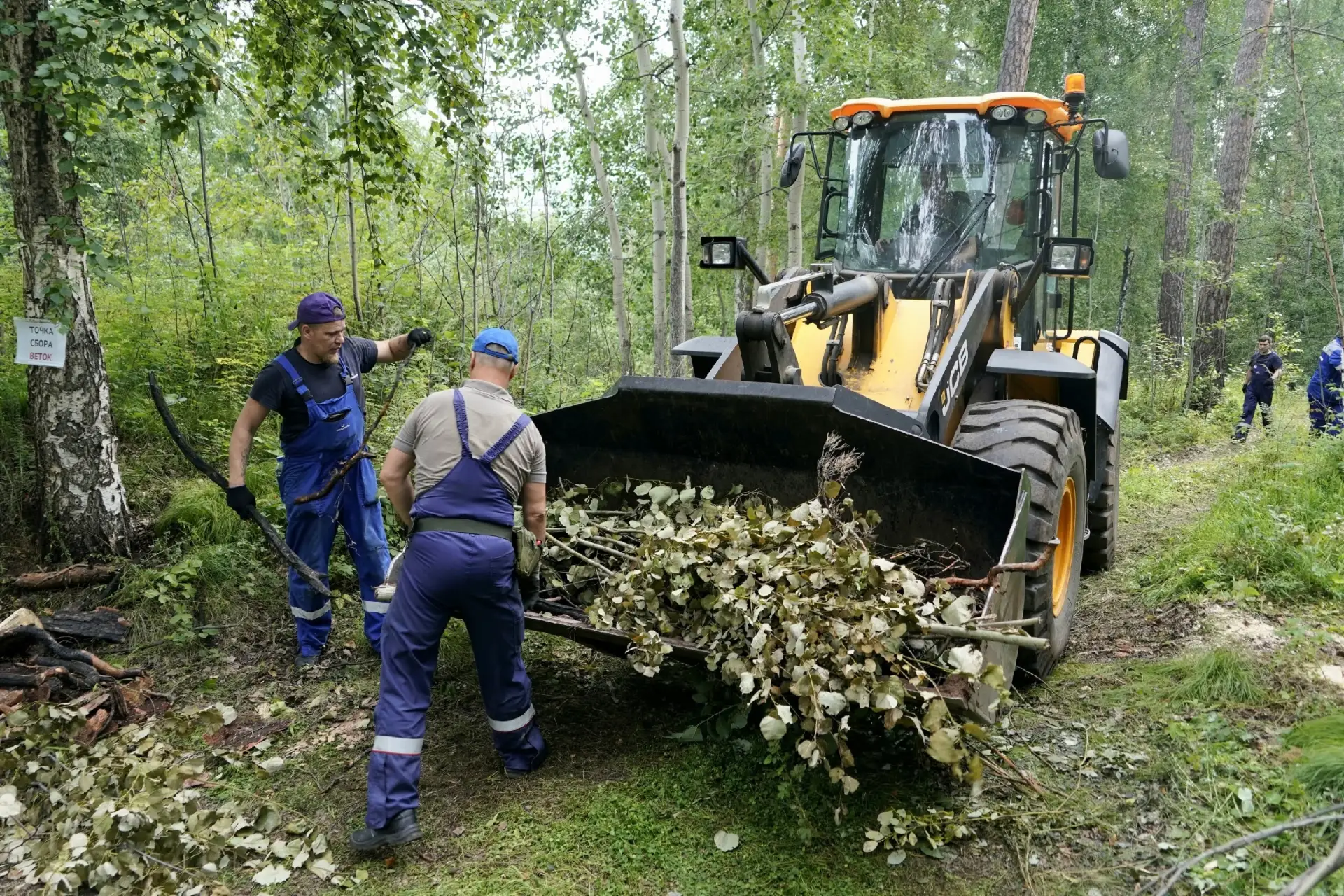 Парк становится парком