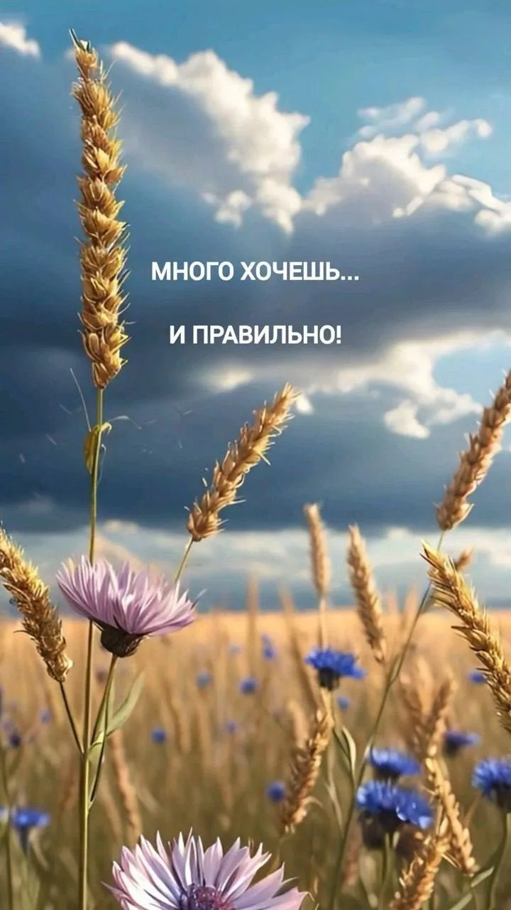 #напоминание