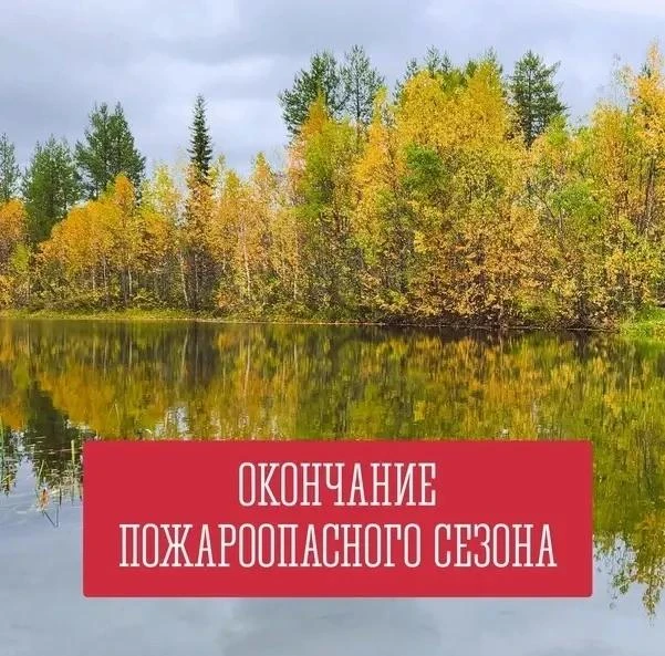 В Ленобласти подвели итоги пожароопасного сезона