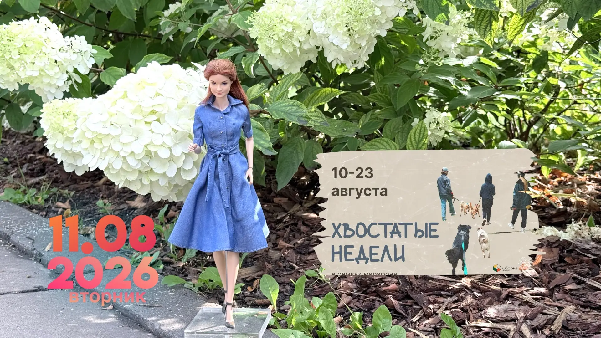 Доброе утро!