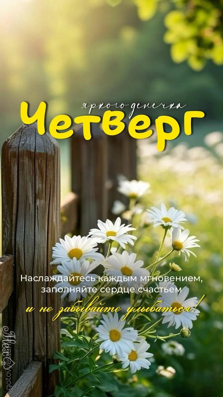 Понравилась открытка? Оставьте, пожалуйста, реакцию 🩷
