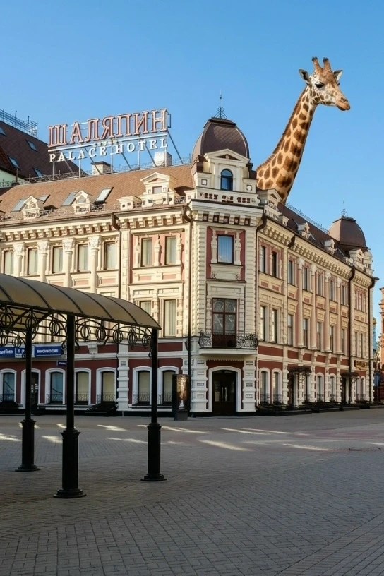 🦒 Казань сможет делиться жирафами с другими зоопарками страны через несколько лет😎