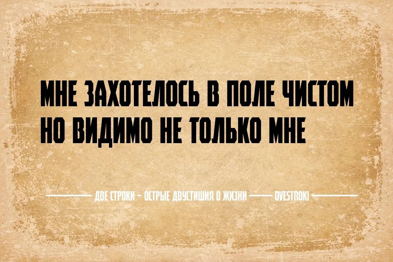 Две строки – остроумные двустишия в Telegram и Мах