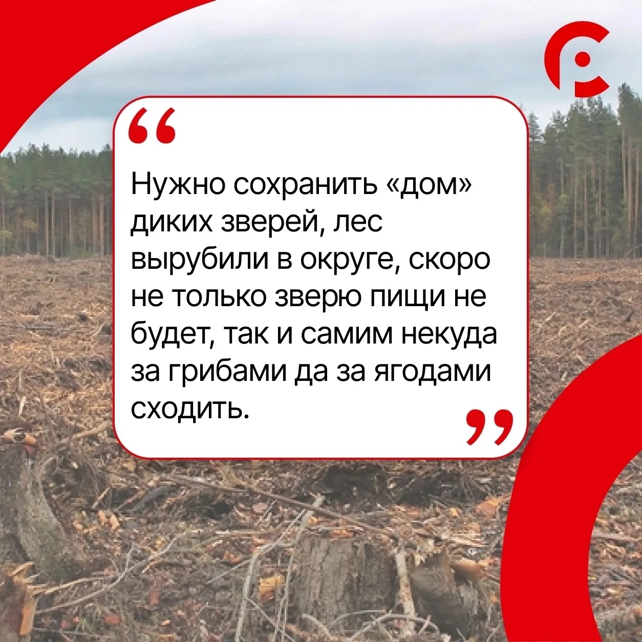 #КорниВологодчины