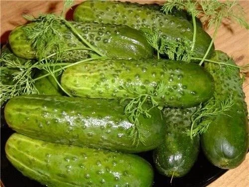 МАЛОСОЛЬНЫЕ ОГУРЧИКИ НА МИНЕРАЛКЕ