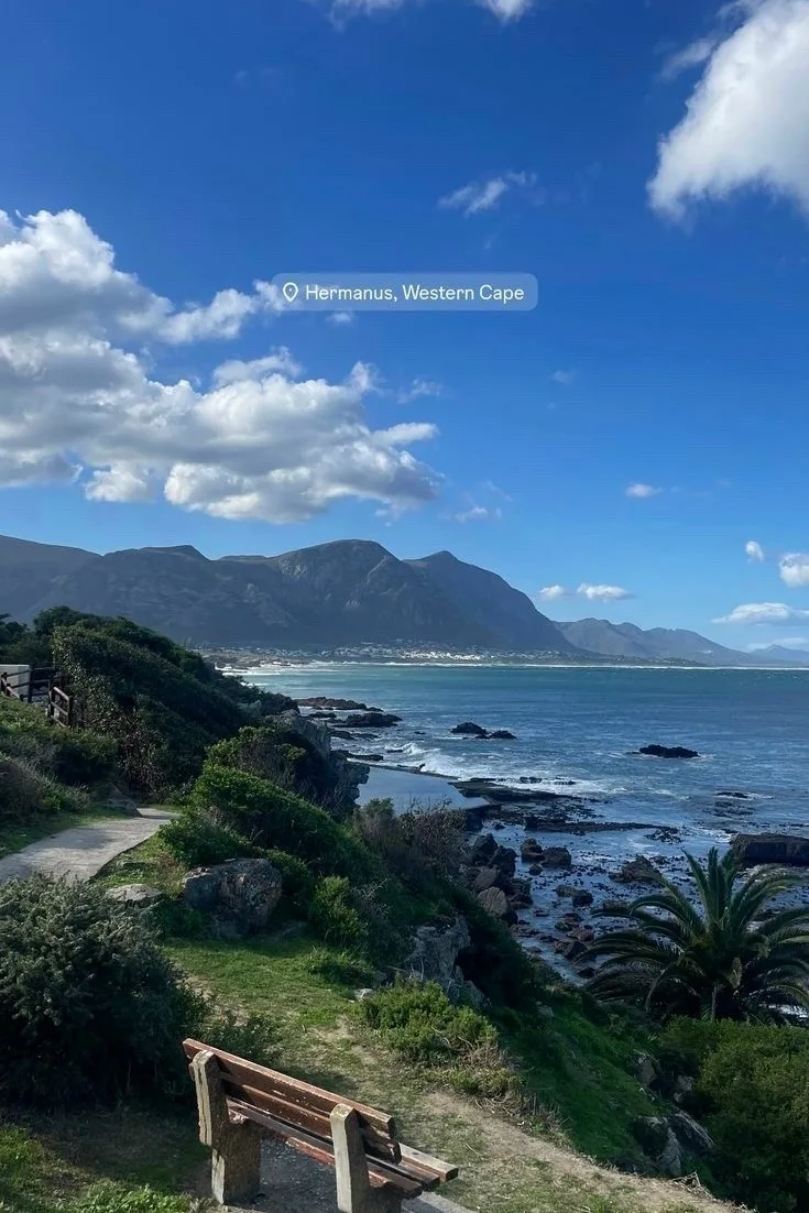 ЮАР 🇿🇦