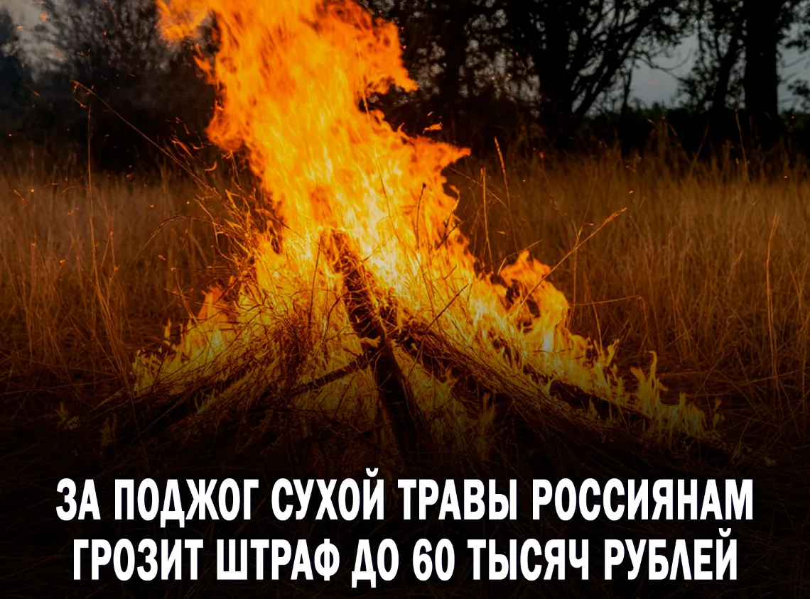 ❗️Россиянам напомнили о штрафах за поджог сухой травы  Поджог сухой травы не является законным спосо
