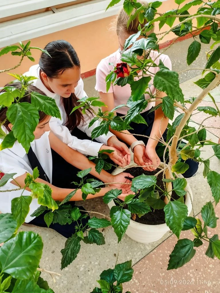❤️‍🩹 «Капля жизни»: наши ученики почтили память жертв Беслана