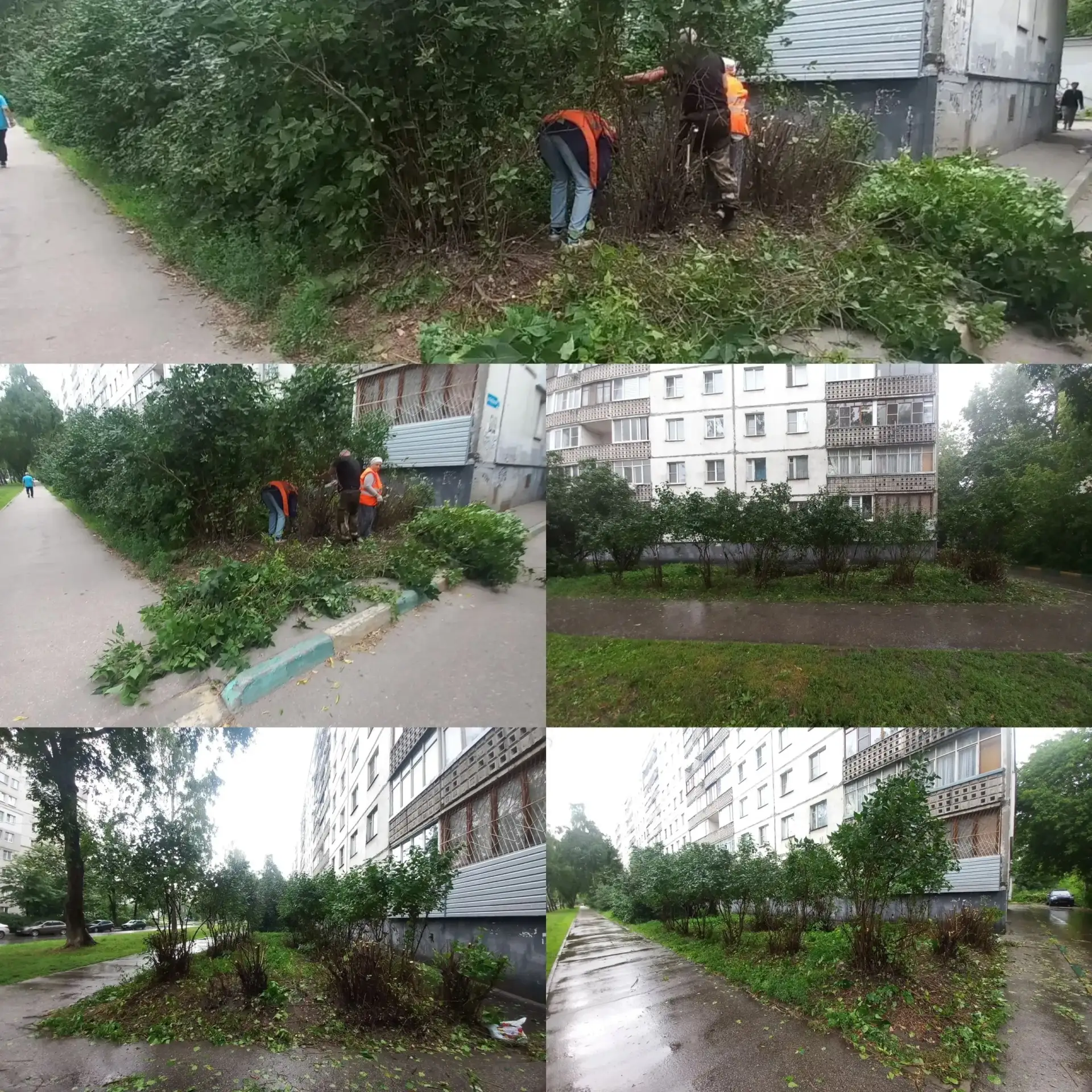 Привели в порядок двор — выполнили кронирование и стрижку кустарников🌿Теперь территория дома выгляд