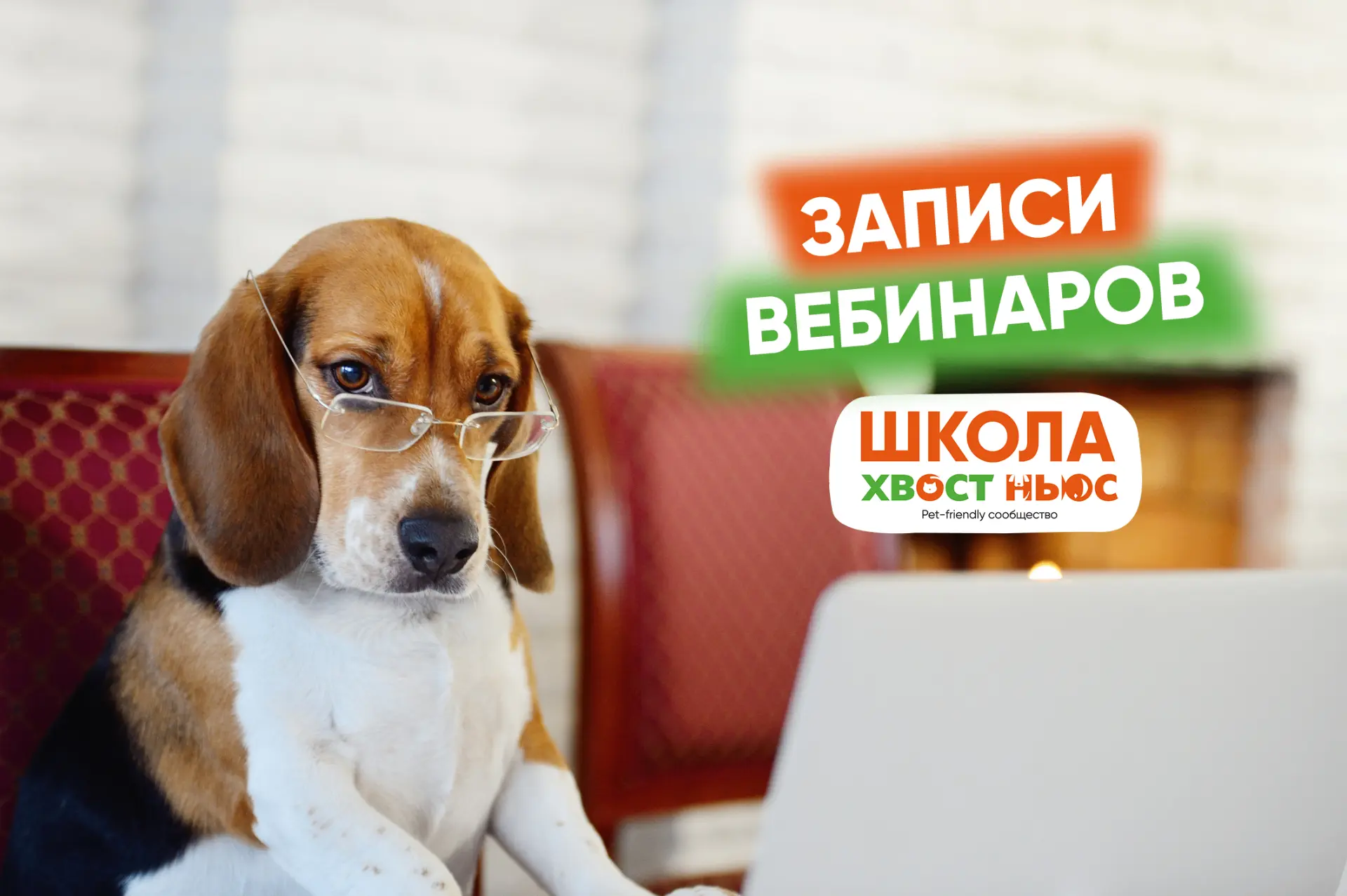 Пропустили наши последние вебинары? Самое время наверстать!