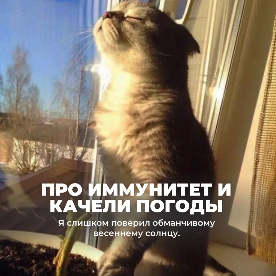 Поговорим честно? 🤫  Я тут на приеме узнала, что вы стесняетесь писать в чат свои вопросы. Давайте с