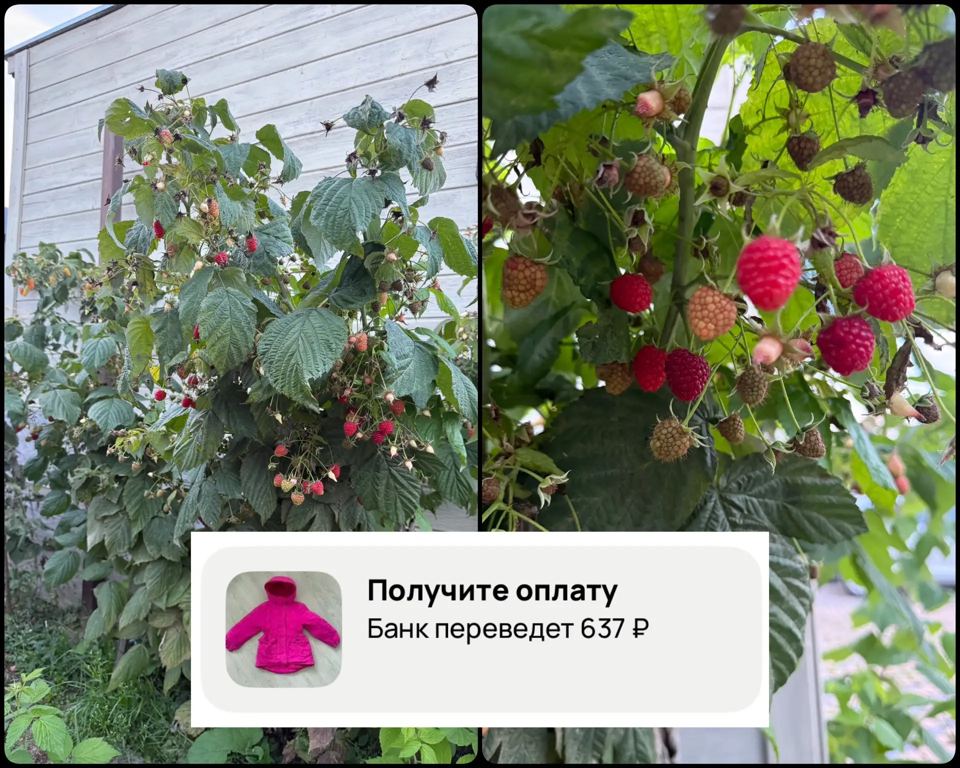 Что я сегодня сделала, чтобы запустить свой денежный ручеек 💸