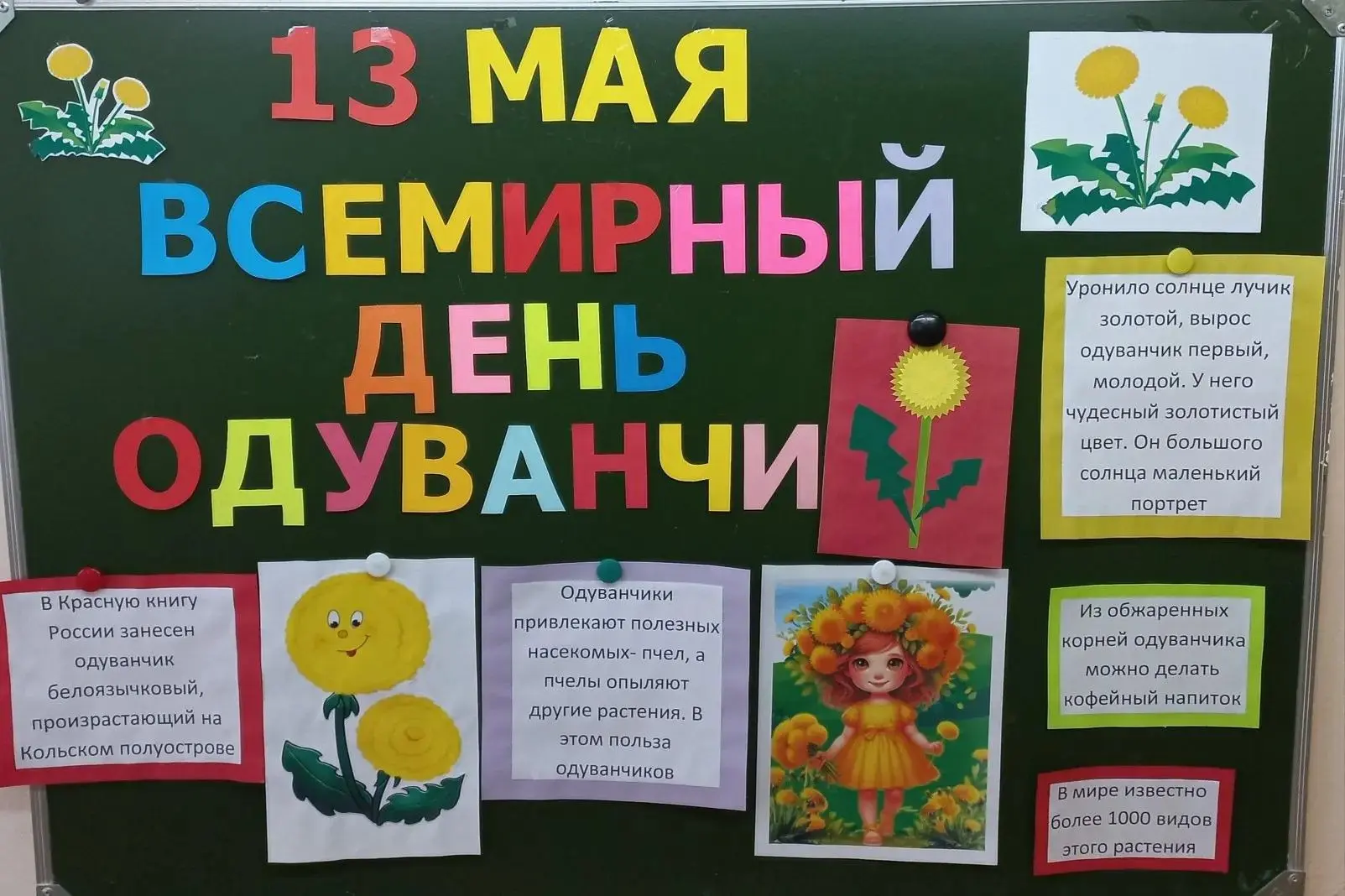 13 мая Всемирный День одуванчика! 
💥13 мая в младшей группе "Рябинка" прошел удивительный тематичес