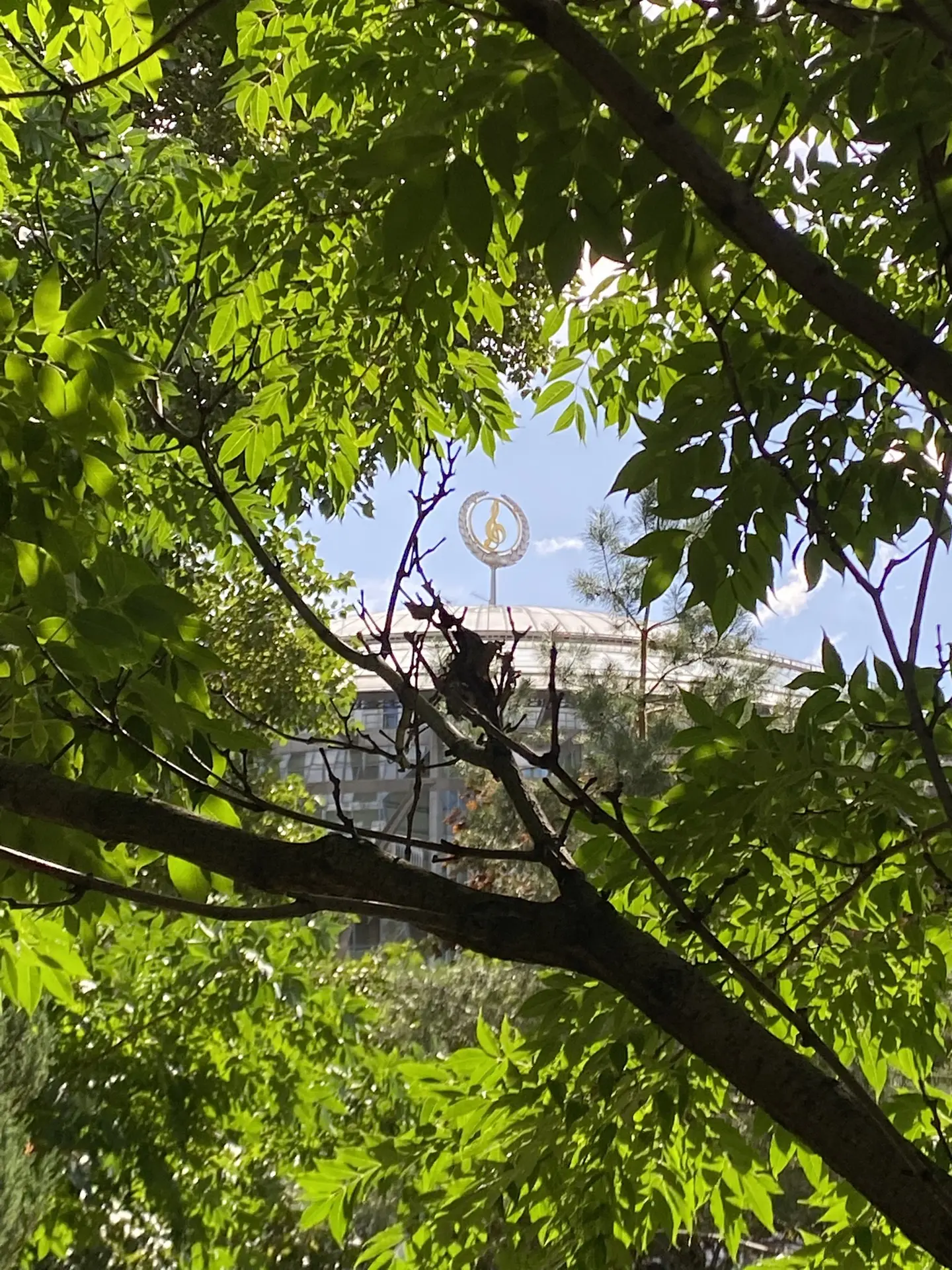 Хорошего отдыха и отличного настроения! 🌿☀️