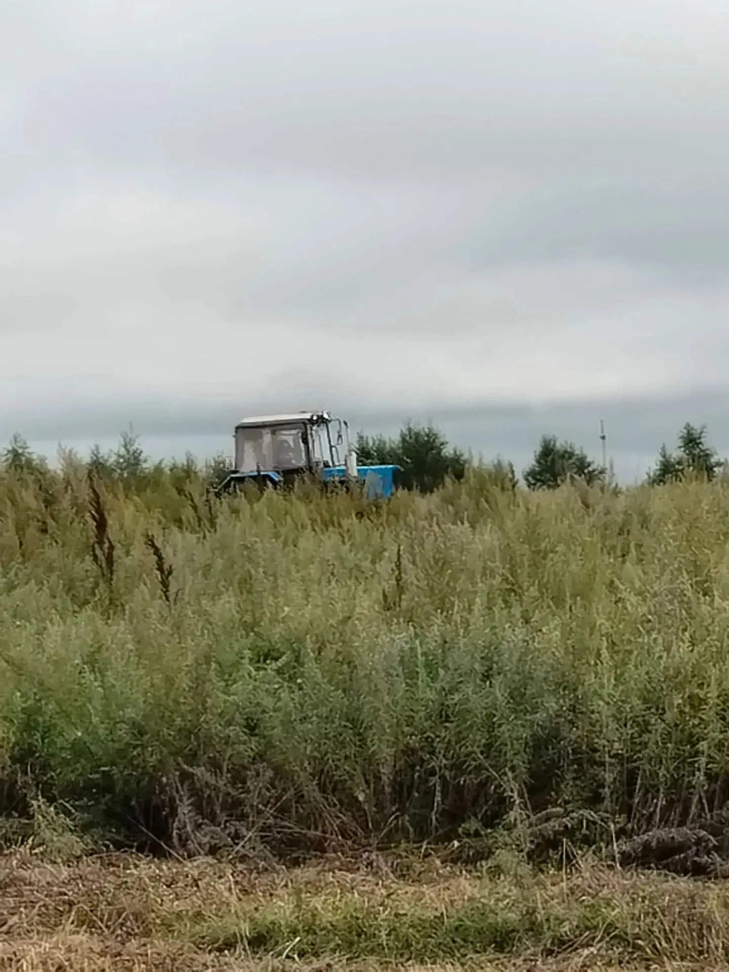 🔥Подготовка  к пожароопасному периоду