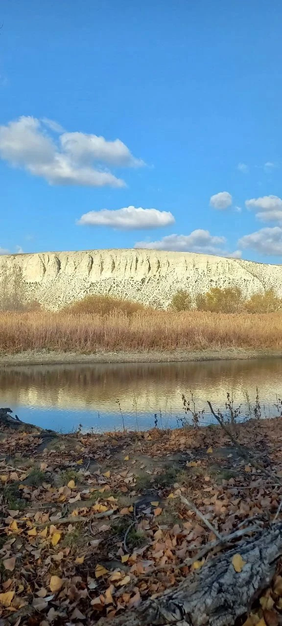 Осень ещё не вступила в свои права, но мы уже ждём её 🍂