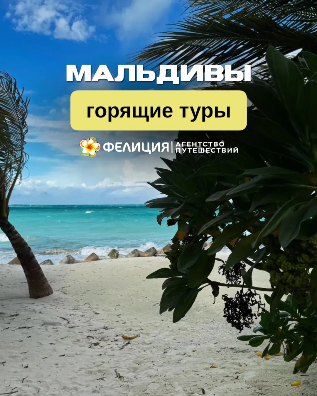 🇲🇻🌴Мальдивы, горящие туры, последние места