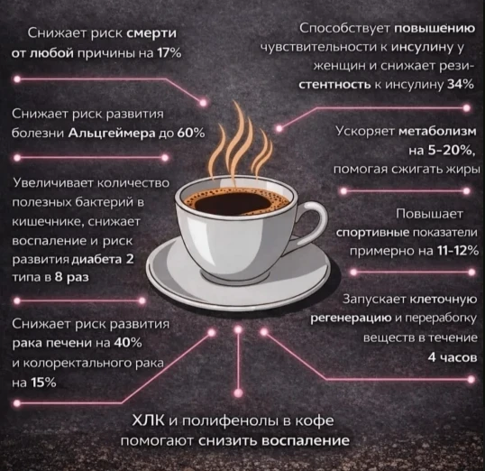 Кофе — лучший биохакер для долголетия ☕

Он содержит множество биологически активных соединений, кот