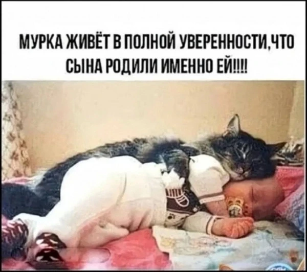 Подпишись, чтобы не потерять👇