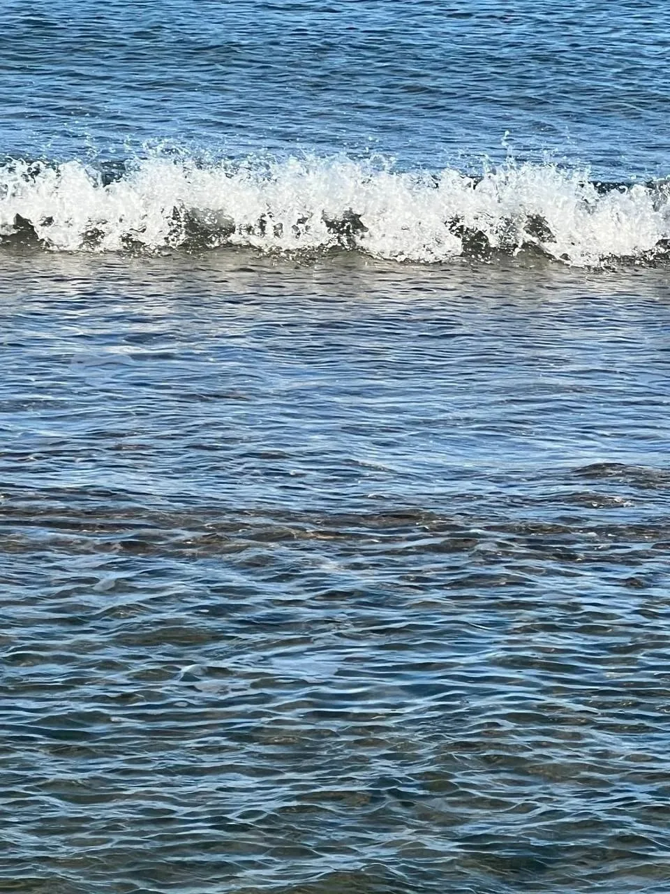 ☀️ Идеальный октябрьский день! Море прозрачное, песок теплый, а на берегу — целые сокро...