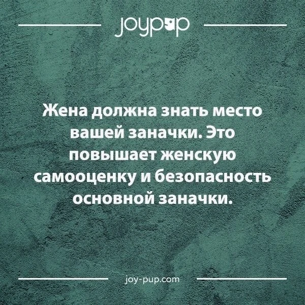 👀MAX С Юмором‼️