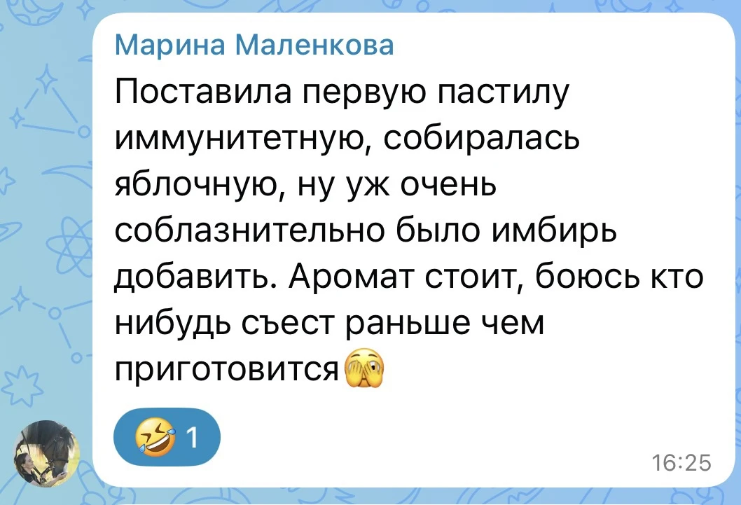 Изображение 2 к публикации «Пастила Фрипсы ПП-сладости Обучение Fripse House»