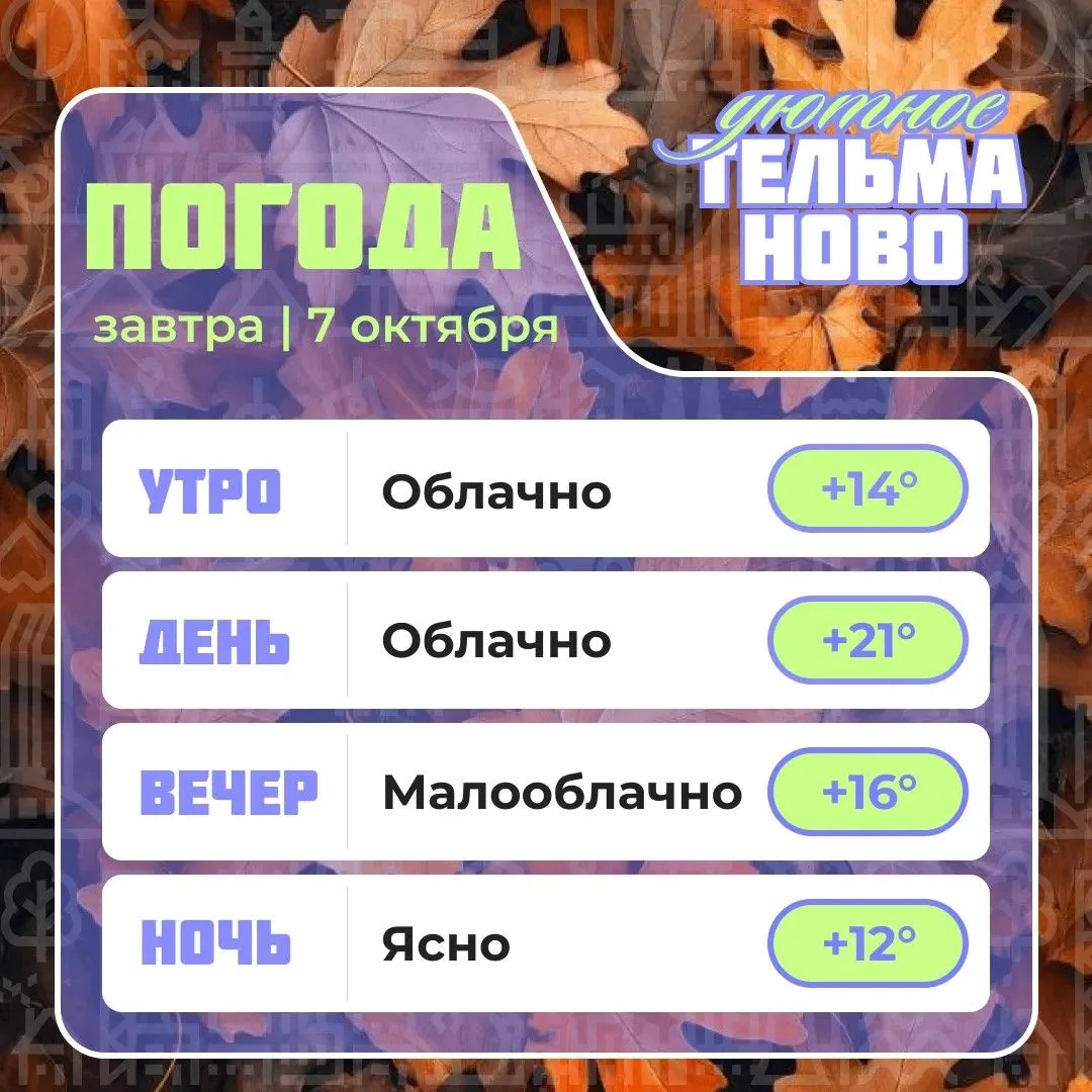 Ваш гид по погоде на завтра🌡