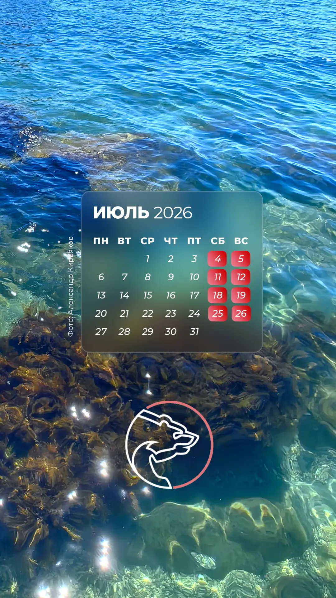 ☀ Первое июля - лето в самом разгаре! Публикуем для вас наши традиционные яркие календари.