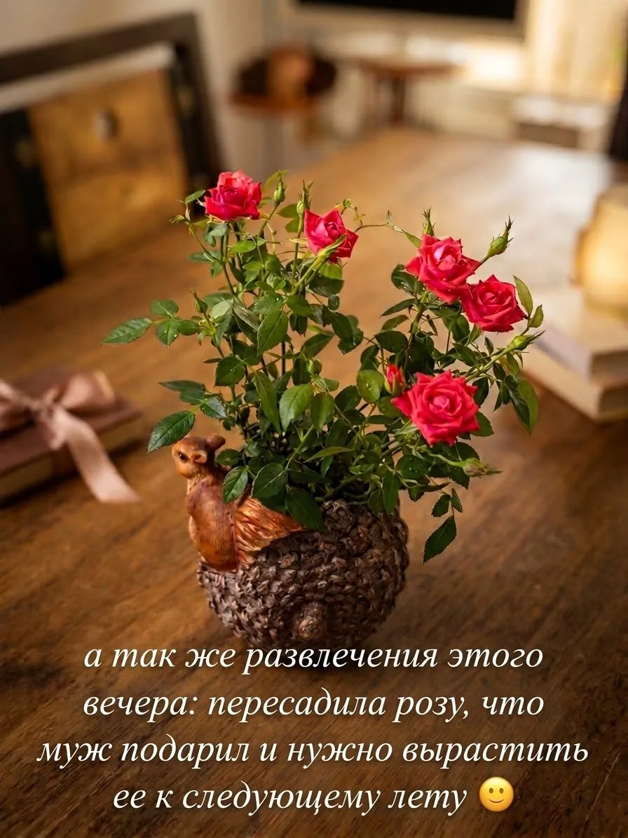 Вечерние развлечения, когда тебе за 30 😅