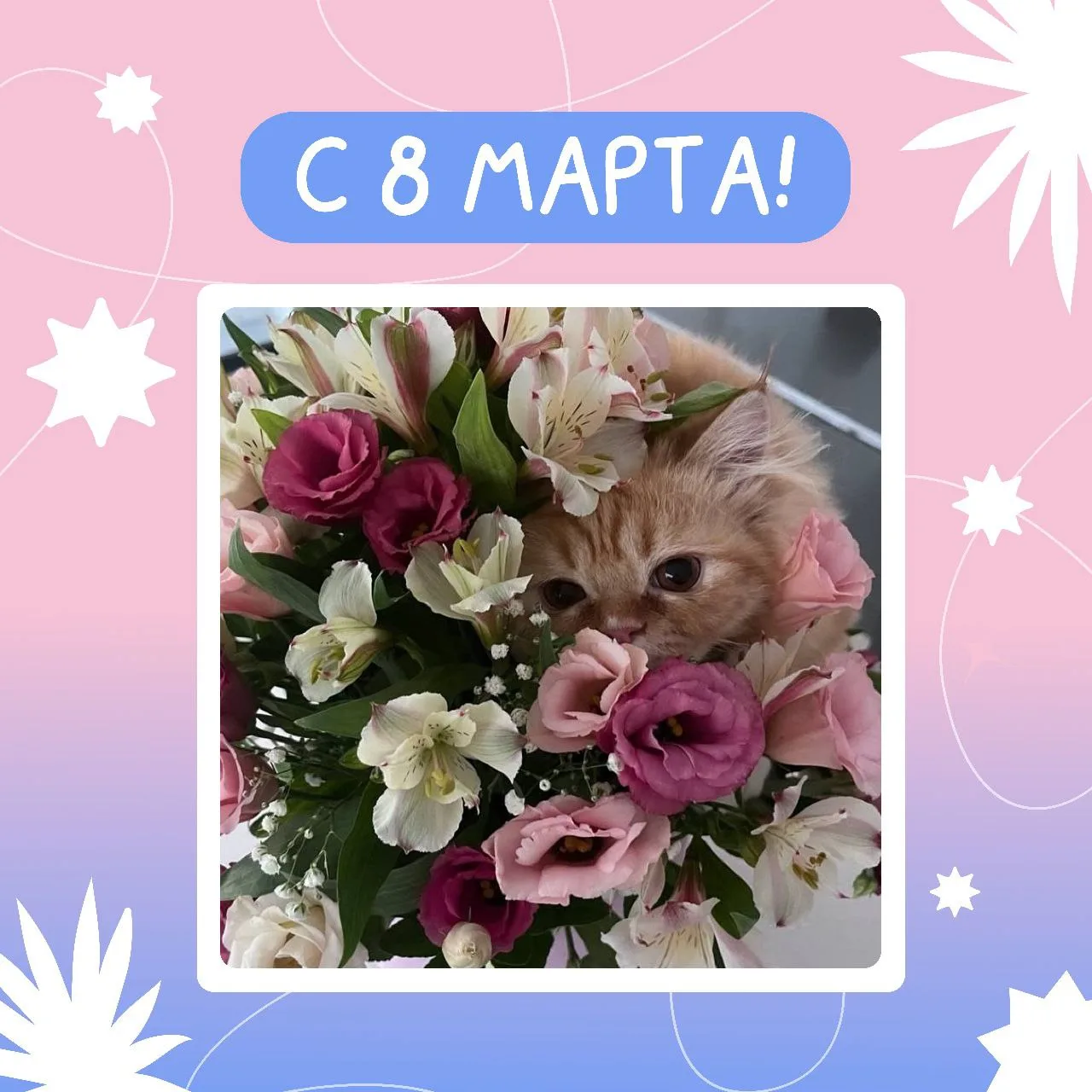 Наши подопечные просили передать... 🤩