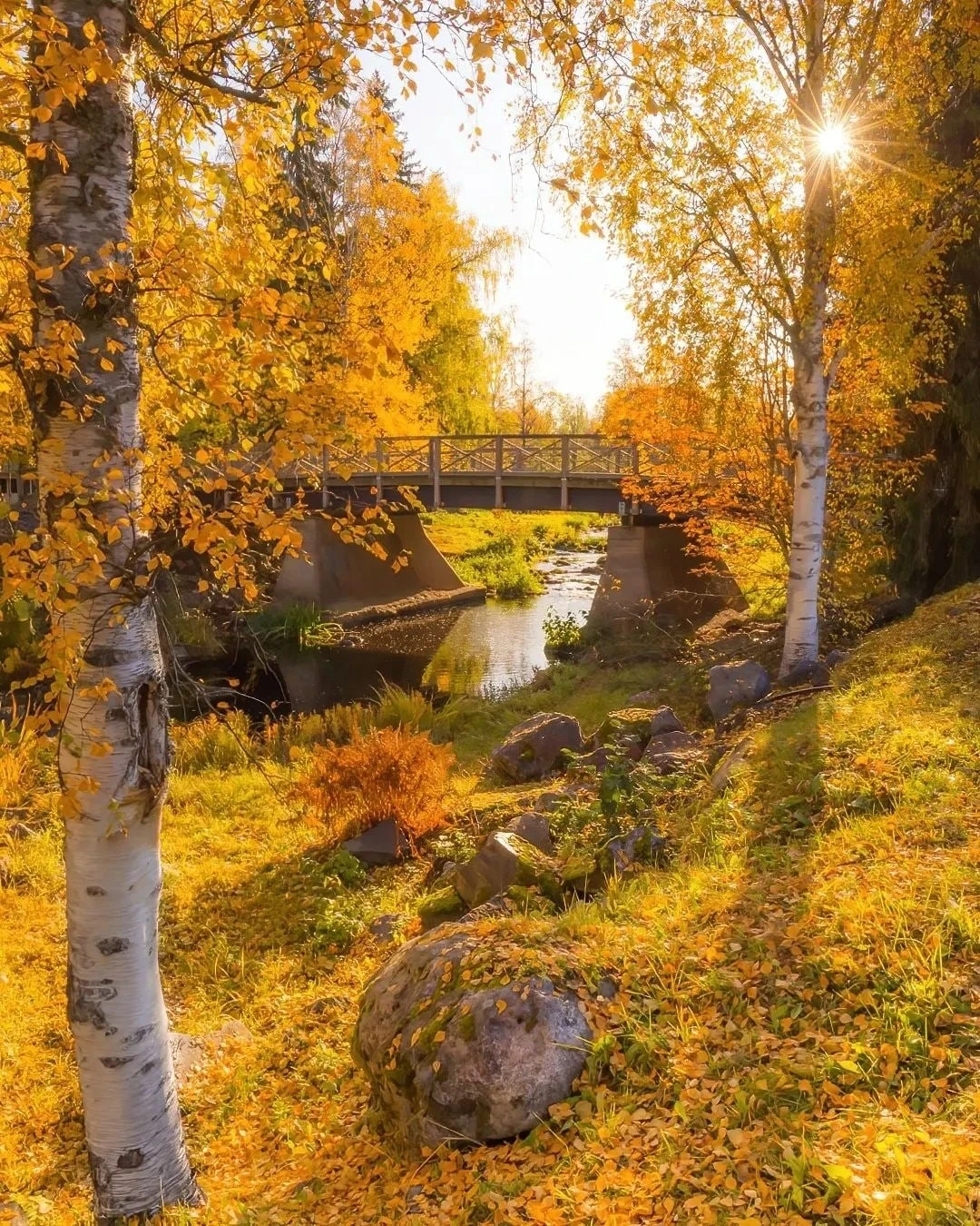 Краски осени. 🍂🍁 Какое фото нравится вам больше 1,2,3... 10?