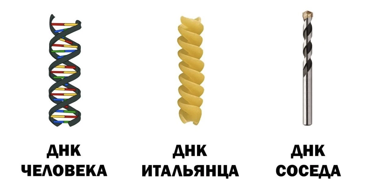 Сегодня День открытия уникальности ДНК. Это передается по наследству. Давайте сегодня п...